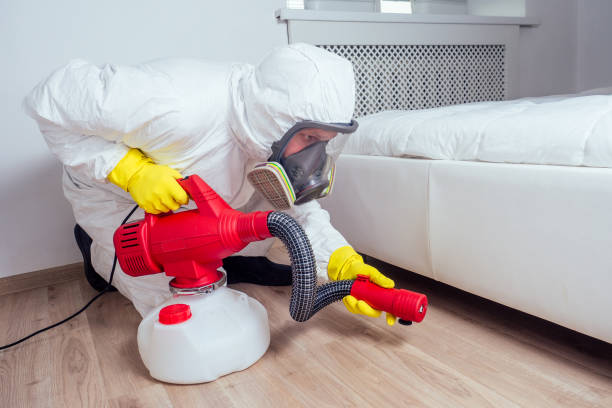 Best Pest Prevention Services  in Brandon, MS