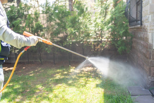 Best Bed Bug Extermination  in Brandon, MS