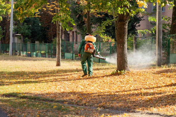 Best Mosquito Control Services  in Brandon, MS